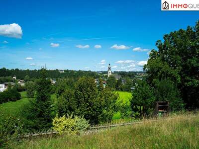 Grundstück kaufen in 4870 Vöcklamarkt