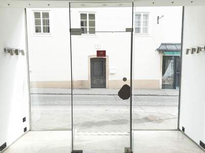 Gewerbeobjekt mieten in 3500 Krems (Bild 5)