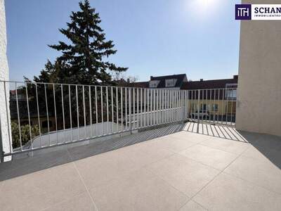 Terrassenwohnung kaufen in 2514 Traiskirchen (Bild 2)