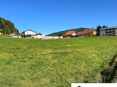 Grundstück kaufen in 8831 Niederwölz (Bild 2)