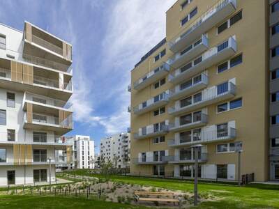 Immobilie mieten in 1230 Wien (Bild 4)