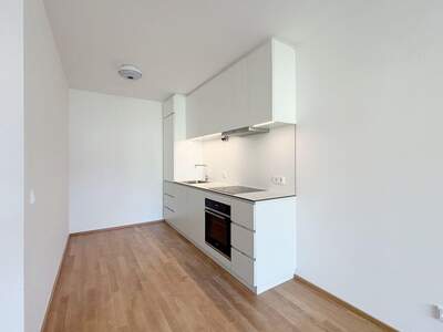 Mietwohnung in 2340 Mödling (Bild 1)