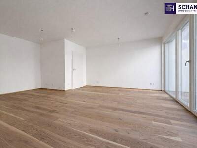 Terrassenwohnung kaufen in 2514 Traiskirchen (Bild 1)