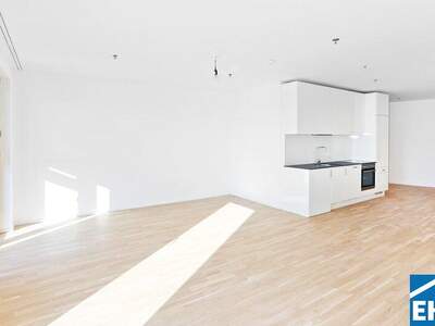 Terrassenwohnung mieten in 1100 Wien (Bild 1)