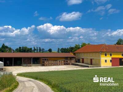 Halle mieten in 4611 Buchkirchen