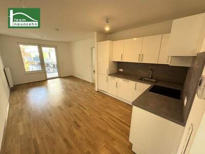 Terrassenwohnung mieten in 1210 Wien (Bild 2)