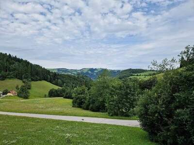 Gewerbeobjekt kaufen in 3213 Frankenfels