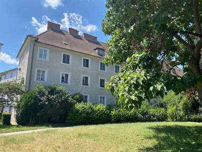 Wohnung mieten in 3500 Krems
