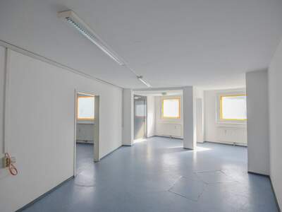 Gewerbeobjekt mieten in 1230 Wien (Bild 1)