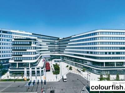 Gewerbeobjekt mieten in 1300 Schwechat (Bild 3)