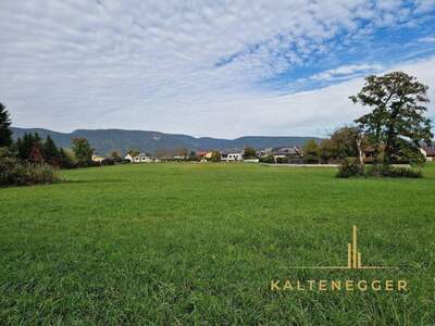 Grundstück kaufen in 2722 Weikersdorf