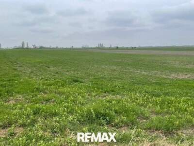 Gewerbeobjekt kaufen in 7141 Podersdorf