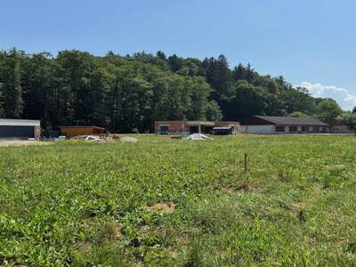 Grundstück kaufen in 8421 Wolfsberg (Bild 1)