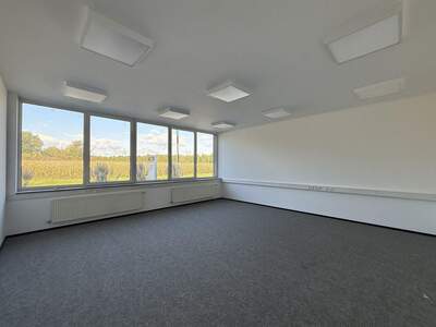 Gewerbeobjekt mieten in 8200 Gleisdorf (Bild 5)