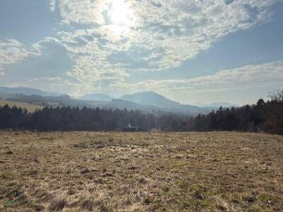 Grundstück kaufen in 3282 St. Georgen