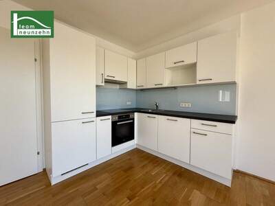 Terrassenwohnung mieten in 1180 Wien (Bild 3)