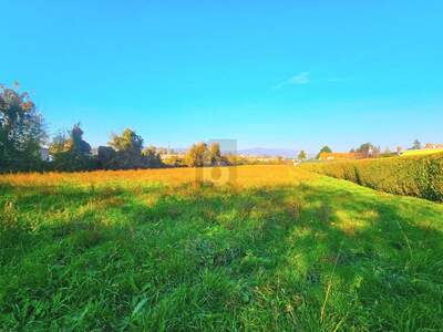 Gewerbeobjekt kaufen in 2500 Baden
