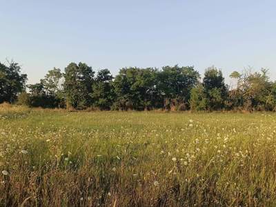 Grundstück provisionsfrei kaufen in 2425 Nickelsdorf