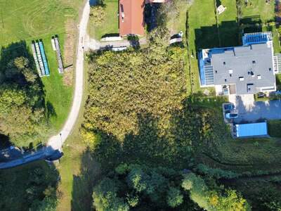 Grundstück kaufen in 9081 Reifnitz (Bild 5)