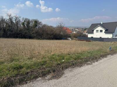 Grundstück kaufen in 7210 Mattersburg