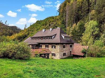 Haus kaufen in 8692 Neuberg