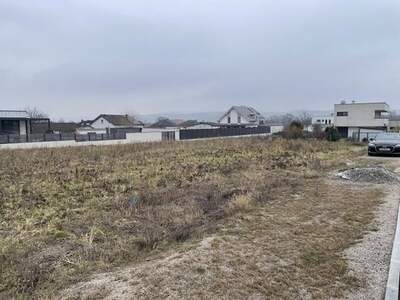 Grundstück kaufen in 7022 Schattendorf