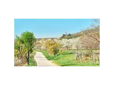 Eigentumswohnung in 7082 Donnerskirchen