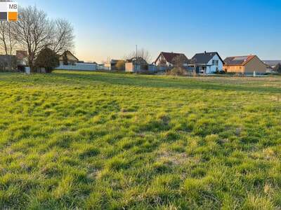 Grundstück kaufen in 2464 Arbesthal