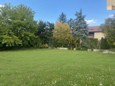 Grundstück kaufen in 2542 Kottingbrunn