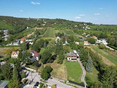 Grundstück kaufen in 2103 Langenzersdorf (Bild 3)