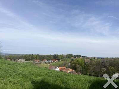 Grundstück kaufen in 8262 Ziegenberg