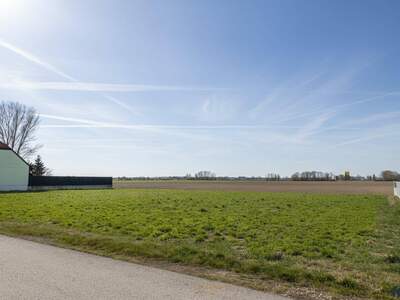 Grundstück kaufen in 3426 Wipfing