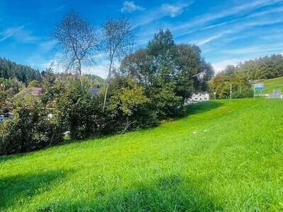 Grundstück kaufen in 4201 Eidenberg