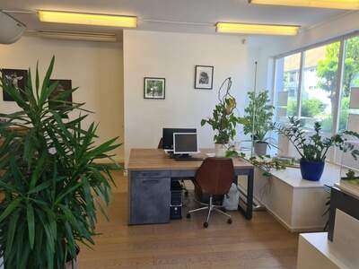 Gewerbeobjekt mieten in 8010 Graz (Bild 3)