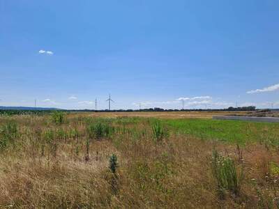 Grundstück kaufen in 2486 Pottendorf