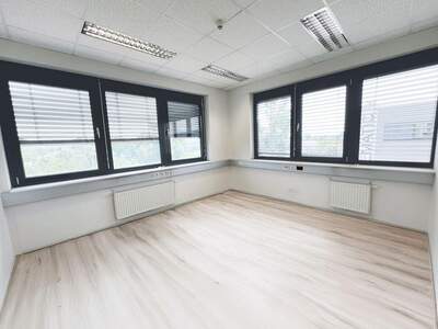 Gewerbeobjekt mieten in 8055 Graz (Bild 3)