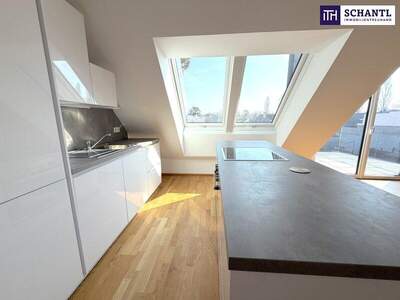 Terrassenwohnung kaufen in 1220 Wien (Bild 3)