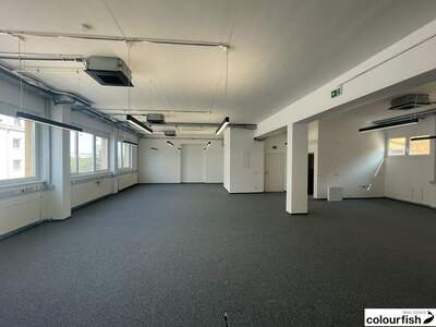 Gewerbeobjekt mieten in 1100 Wien (Bild 3)