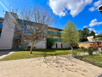 Wohnung mieten in 3550 Langenlois