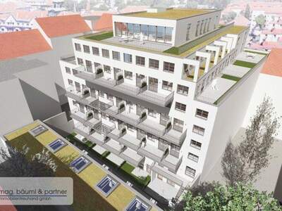 Terrassenwohnung kaufen in 1210 Wien (Bild 5)