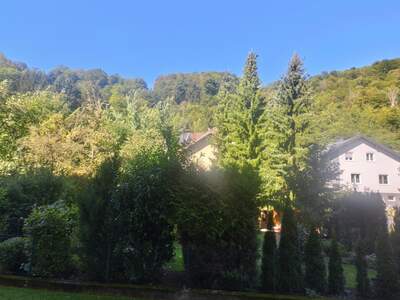 Terrassenwohnung kaufen in 3180 Lilienfeld (Bild 1)