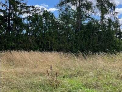 Grundstück kaufen in 2263 Dürnkrut