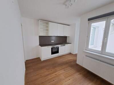 Altbauwohnung mieten in 4470 Enns (Bild 1)