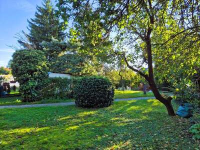 Grundstück kaufen in 2700 Wr. Neustadt (Bild 4)