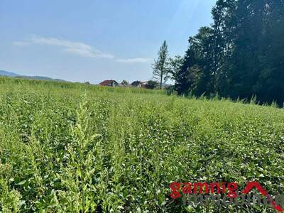 Grundstück kaufen in 9061 Klagenfurt