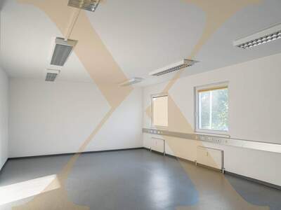 Gewerbeobjekt mieten in 4600 Wels