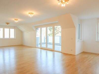 Terrassenwohnung mieten in 1190 Wien (Bild 3)