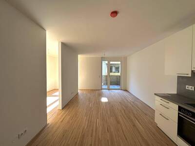 Anlageobjekt kaufen in 1220 Wien