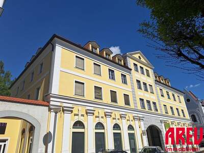 Gewerbeobjekt mieten in 4710 Grieskirchen (Bild 5)