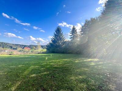 Einfamilienhaus kaufen in 8504 Preding (Bild 5)